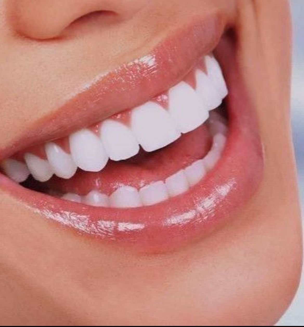 صورة واتساب بتاريخ 1446-05-26 في 00.44.56_55ec9d92